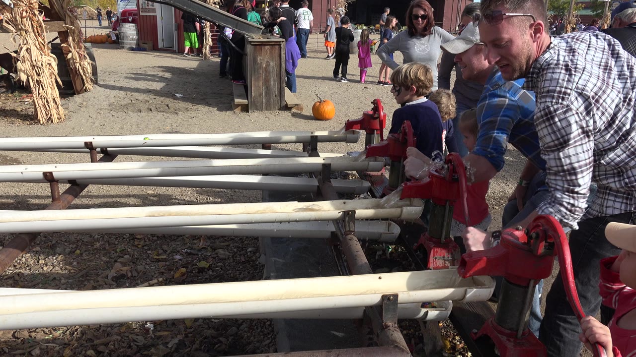 Adults and children stand around red hand-crank water pumps in Brighton, Colorado, with pale trough rails, gravel, corn stalks, pumpkins, and event buildings in bright sun.