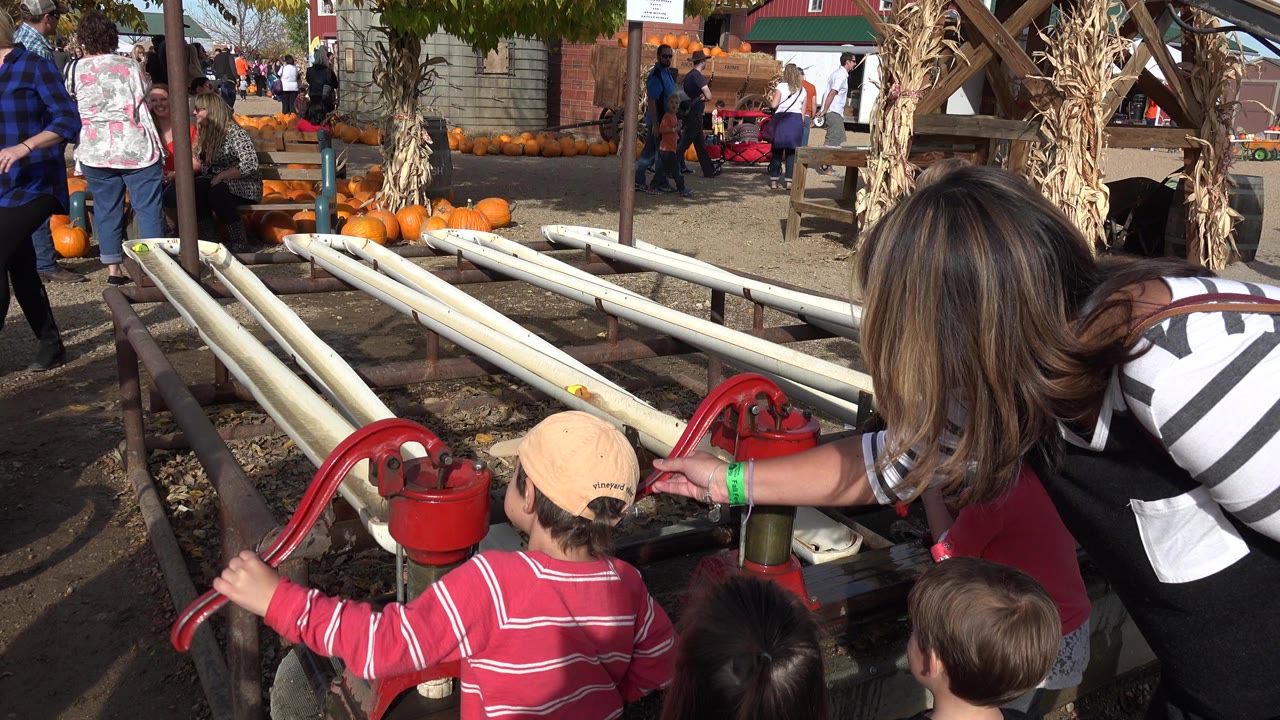 Children and adults around red hand pumps at a farm-themed play area.