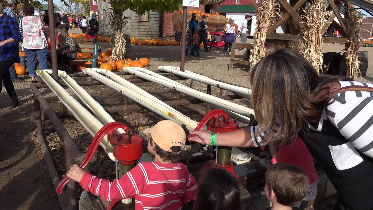 A child in a tan cap stands at the red pump in Brighton, Colorado as an adult in striped clothing reaches toward the trough, with pumpkins and people behind the fenced play area.