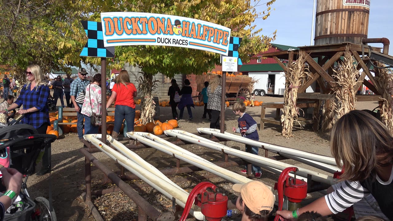 Families stand around the duck race lanes under the attraction sign.