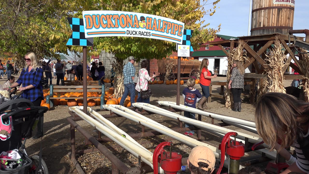 Families at a duck race game under a Ducktona Halfpipe sign.