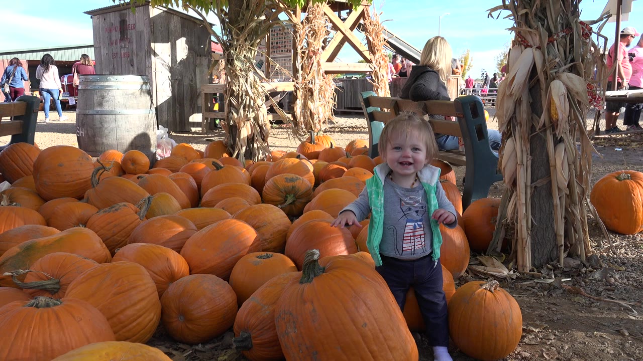 A young girl smiles near the center of a Brighton, Colorado pumpkin sale display, with orange pumpkins in front, corn stalks beside her, and visitors in the background.