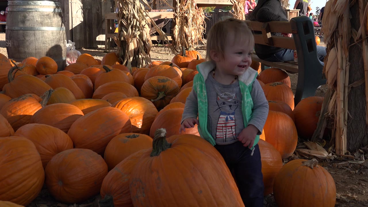 The girl smiles while standing near the large front pumpkin, with bright orange pumpkins filling the frame and fall-sale decorations visible in the background.