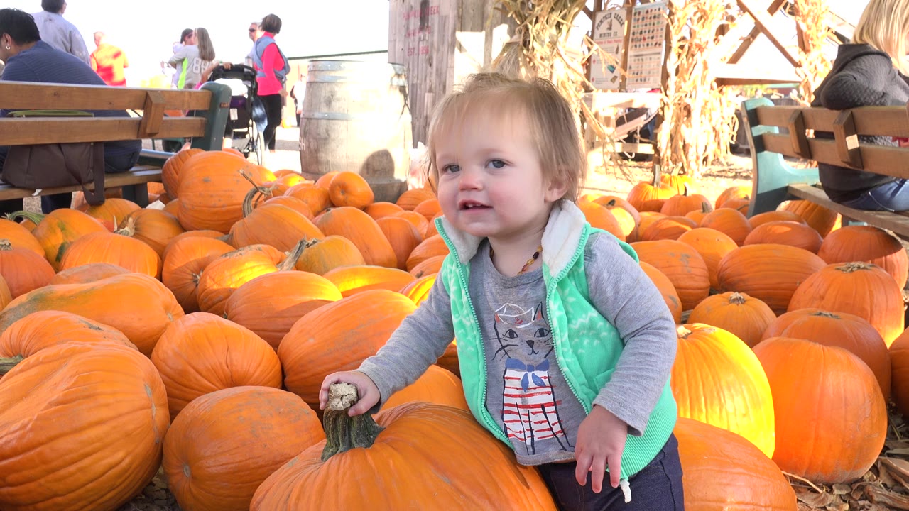 Toddler leaning on pumpkins in a busy pumpkin patch area.