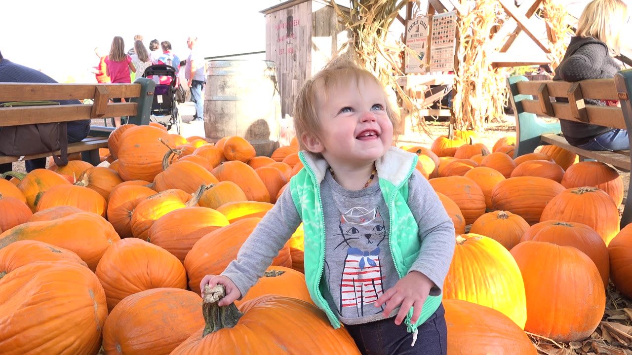Blonde toddler smiling among pumpkins