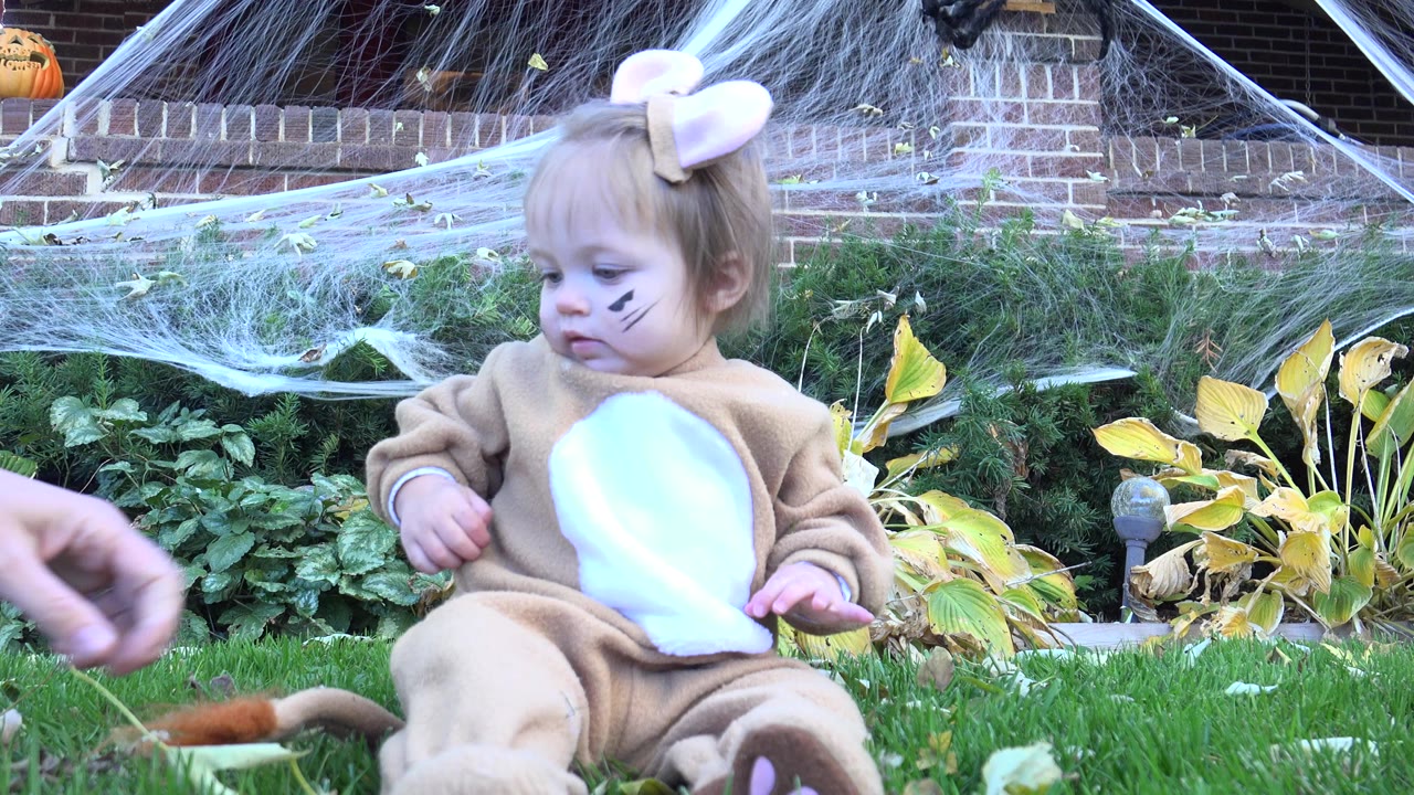 A toddler in a tan animal costume sits on grass in Westminster, Colorado, with pale ears, black cheek paint, a brick house wall, shrubs, web decorations, and a small pumpkin visible behind her.