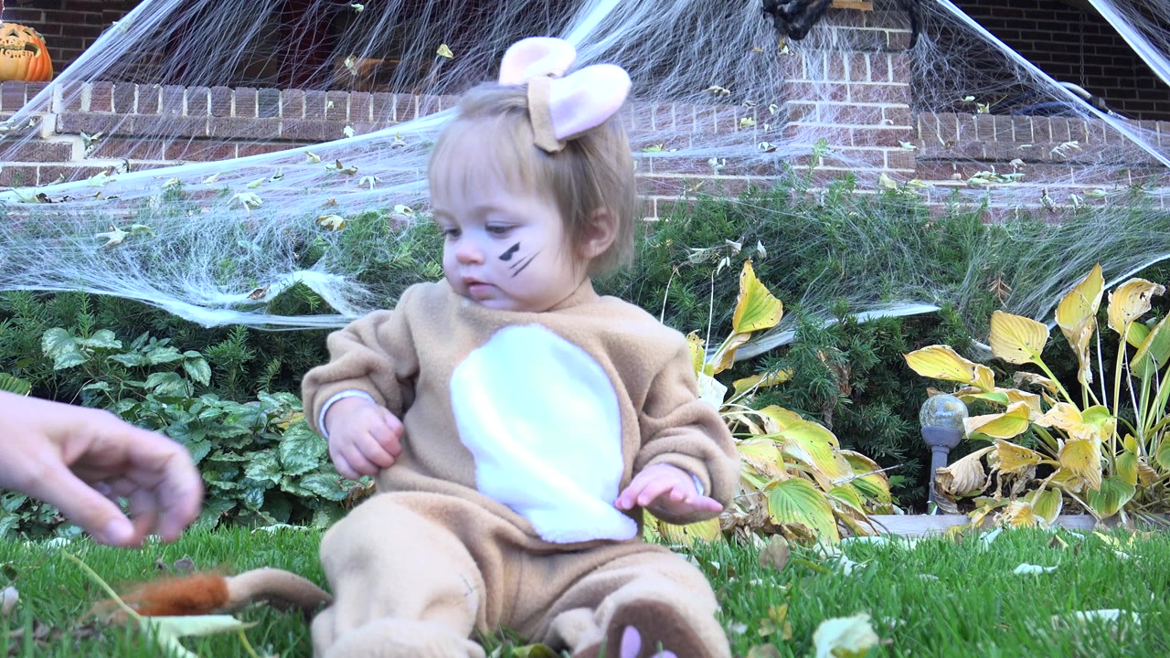 The Westminster, Colorado home-video frame shows the costumed toddler looking down while an adult hand extends a thin stem or leaf near the grass in front of her.