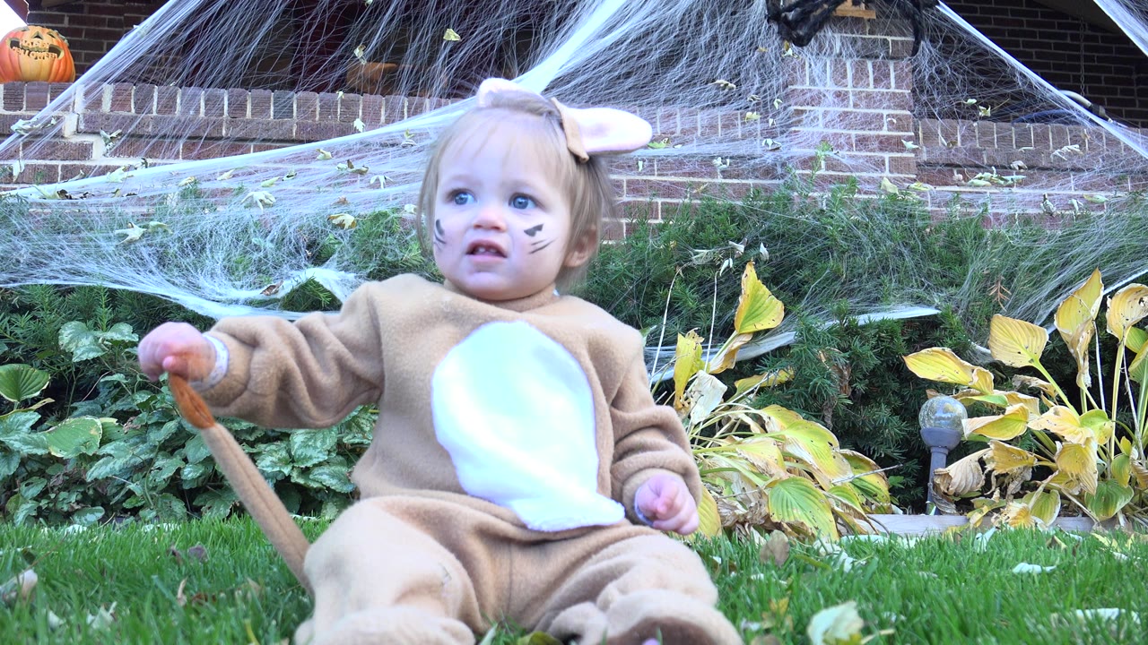 At 0:01, the child in the lion costume reaches out while holding a fuzzy tail or prop on the grass, with garden plants and white webbing in the Westminster backyard.