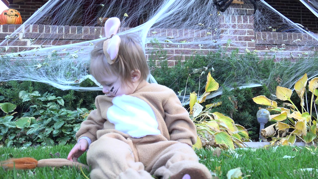At 0:00 in Westminster, Colorado, a toddler in a tan animal costume looks down while sitting on grass, with a toy tail near her hand and Halloween webbing behind her.