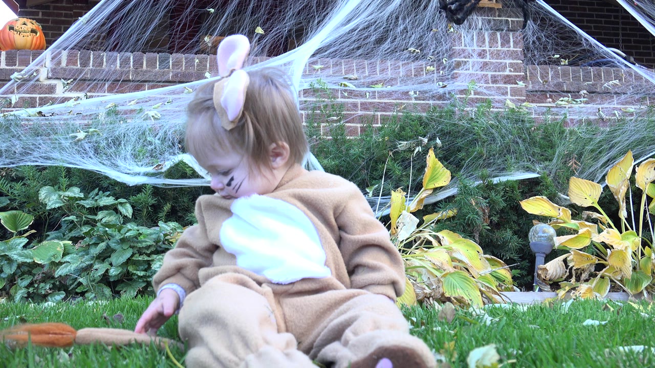 At 0:01 in Westminster, Colorado, the costumed toddler looks downward from the lawn while the toy tail sits partly in the lower foreground and spiderweb decorations stretch across brick steps.