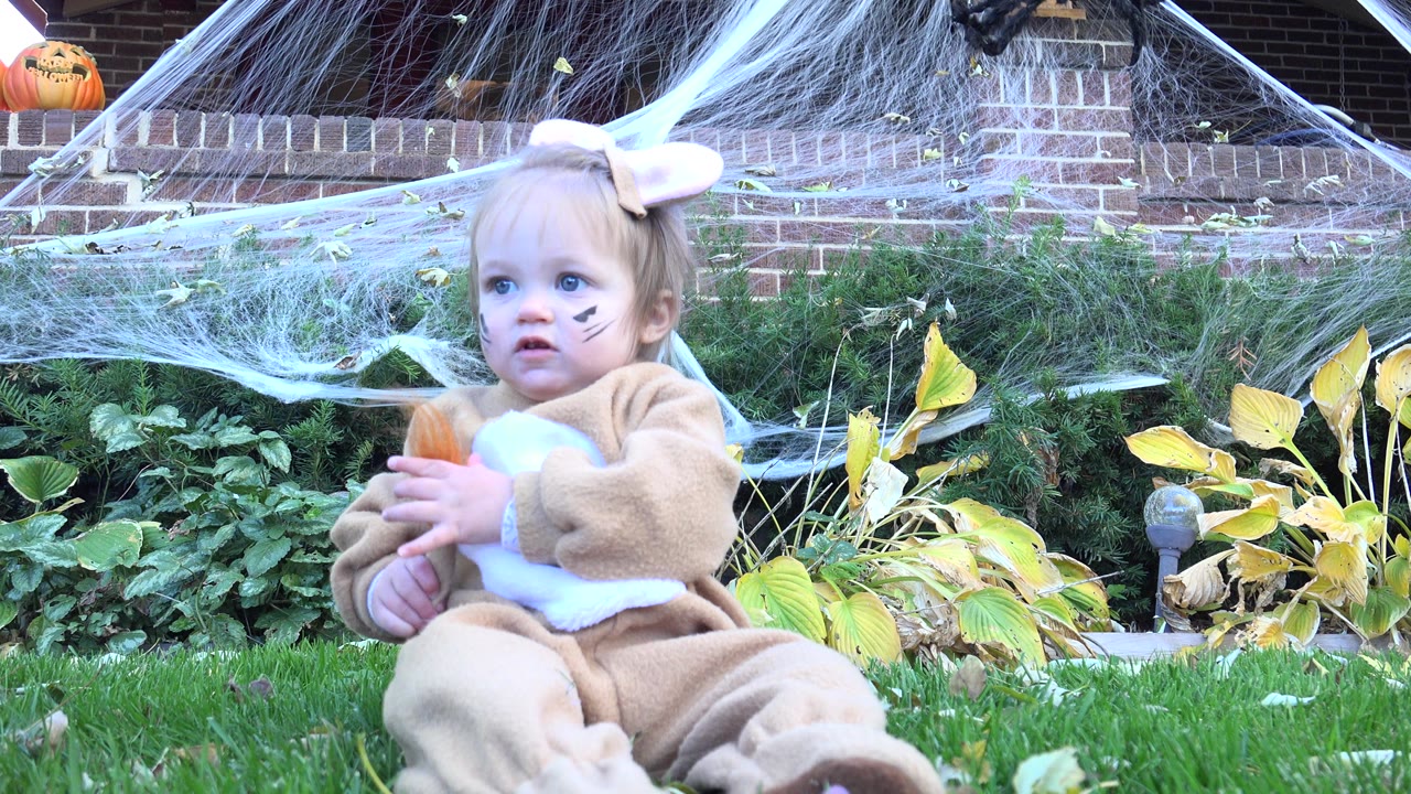 Toddler holding the fuzzy tail while seated on the lawn.