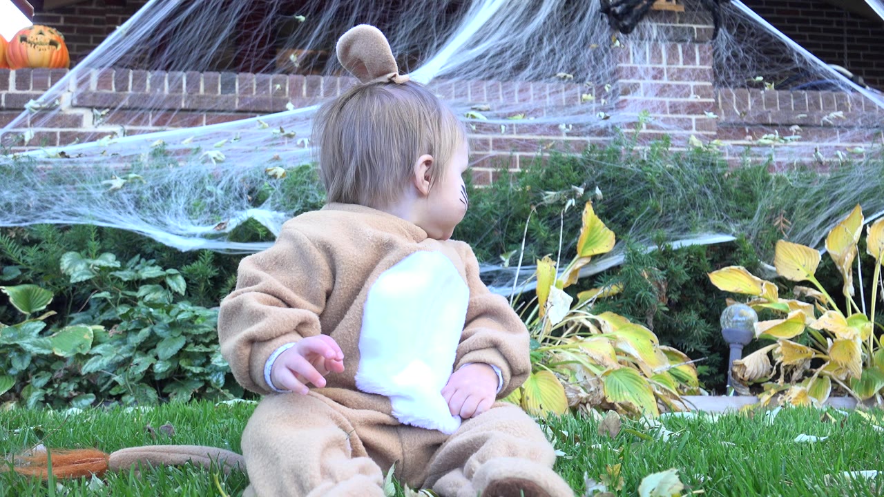 Child in tan animal costume seated on grass beside Halloween yard decorations.