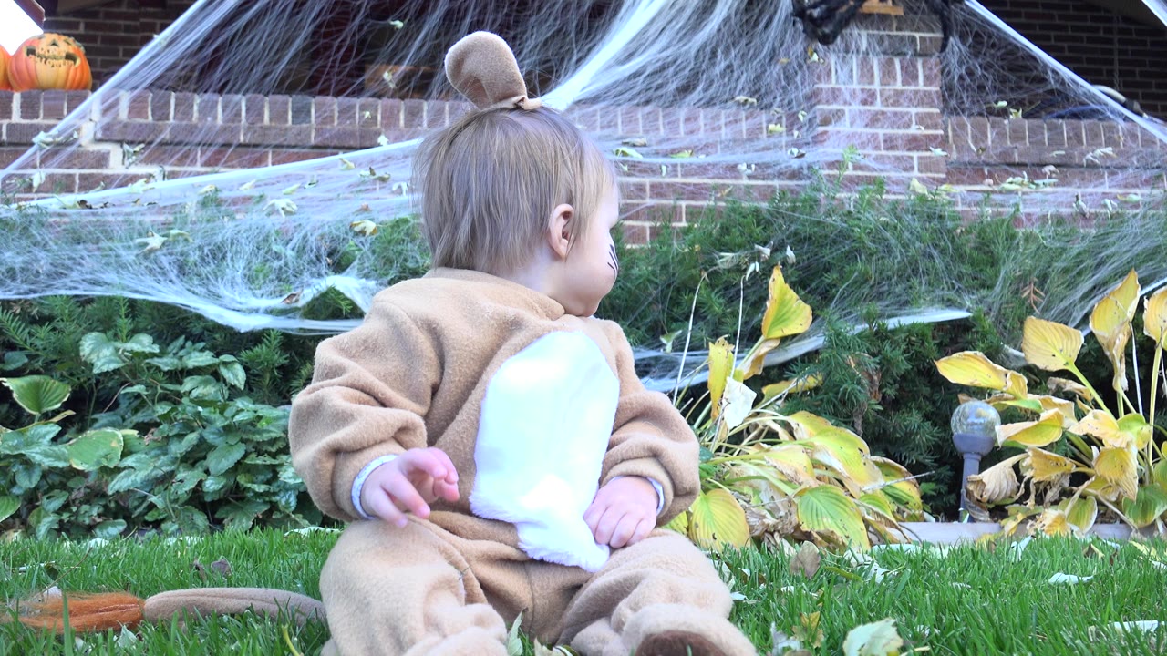 In Westminster, Colorado, the costumed child remains seated on the grass and looks left, with the white belly panel, faux spider webbing, plants, and brickwork visible.
