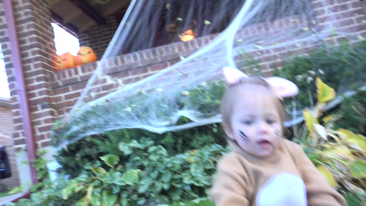 Toddler in animal costume near Halloween porch decorations
