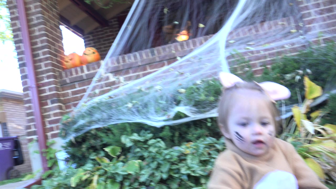 The child in a tan costume remains in the foreground in Westminster, Colorado, with white web decorations stretched across porch plants and brickwork.