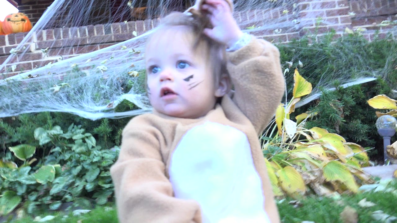 Toddler in a cat costume standing in a decorated garden.
