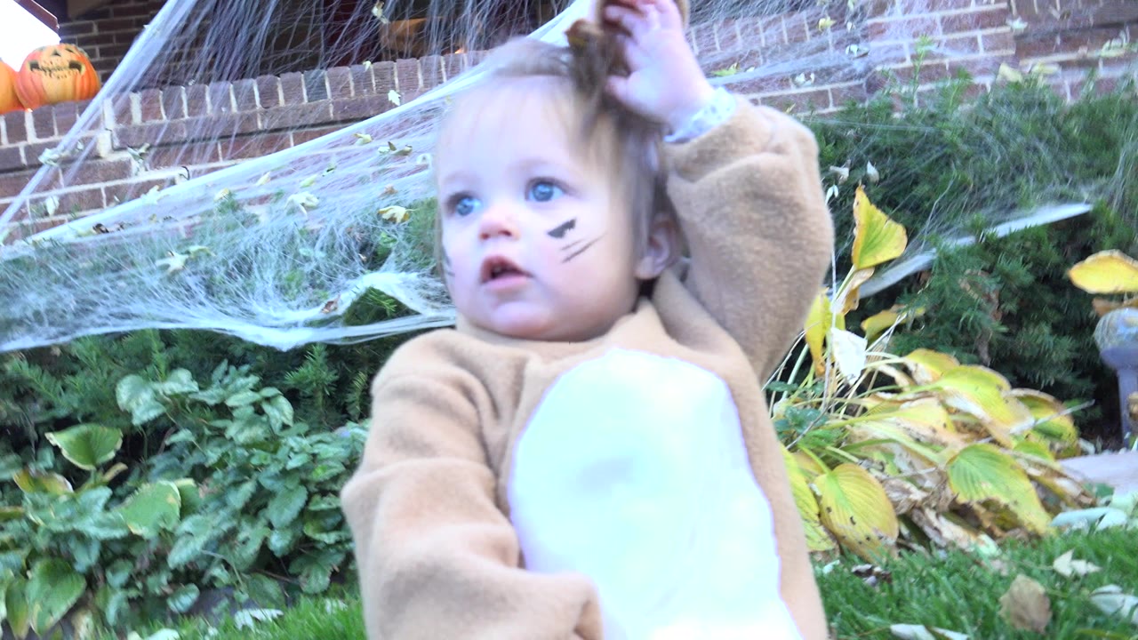 The child raises one hand toward the cat costume hood while standing in front of garden plants and Halloween webbing in Westminster, Colorado.