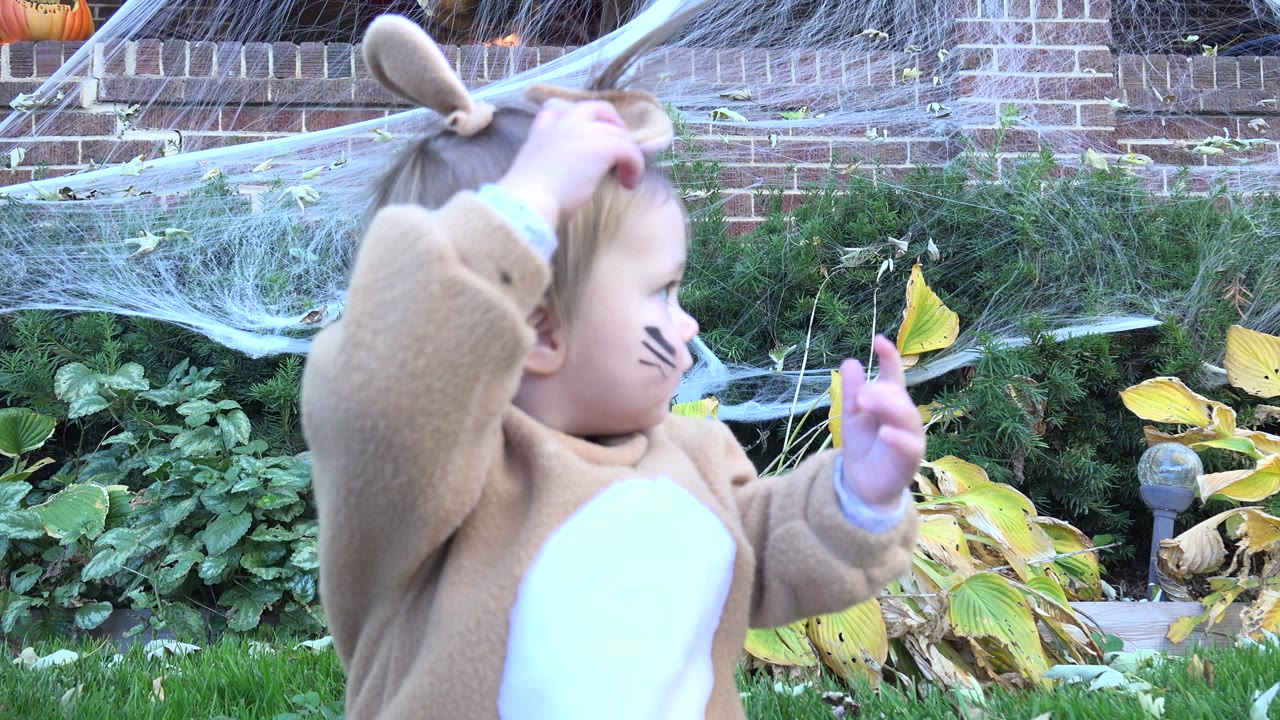 Toddler in bear costume looks down while holding the costume ear.
