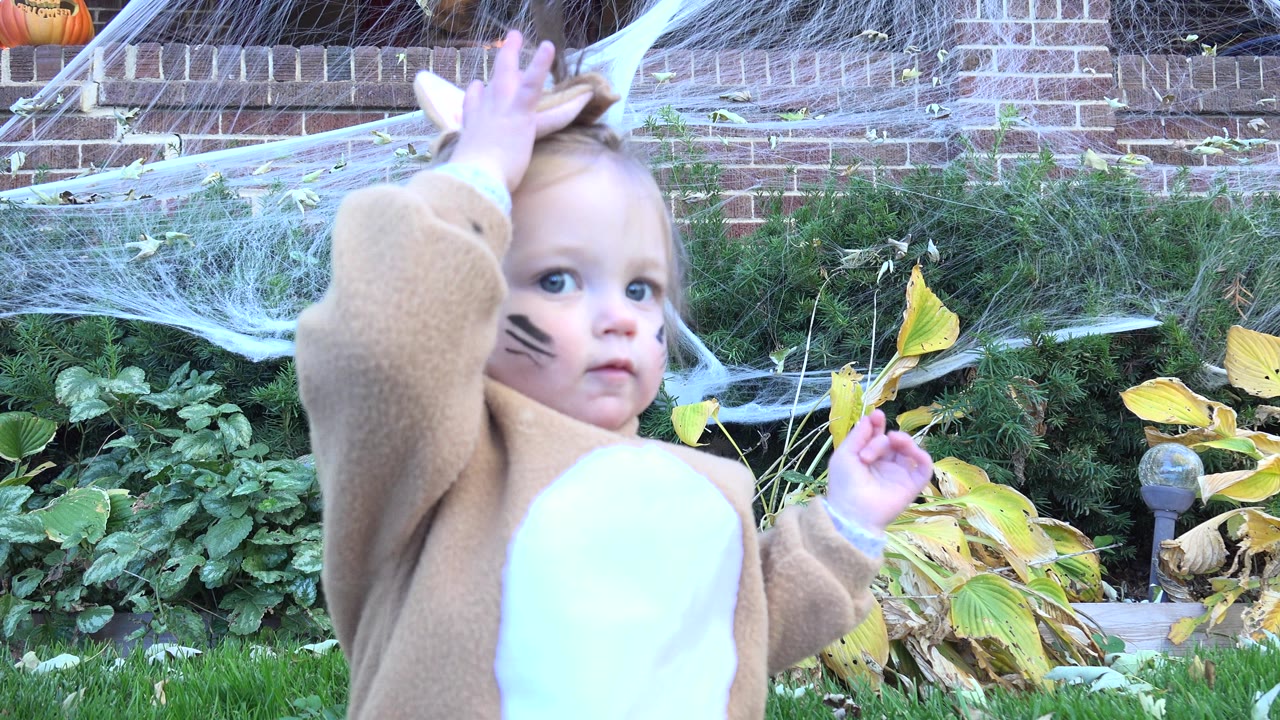 In Westminster, Colorado, the toddler faces more toward camera with one arm lifted over her head and the other hand raised, framed against shrubs, brick steps, webbing, and fallen leaves.