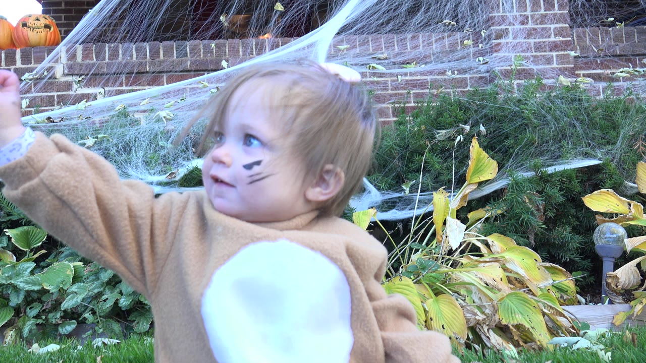 Blonde toddler in a lion costume reaching upward in a Halloween-decorated yard.