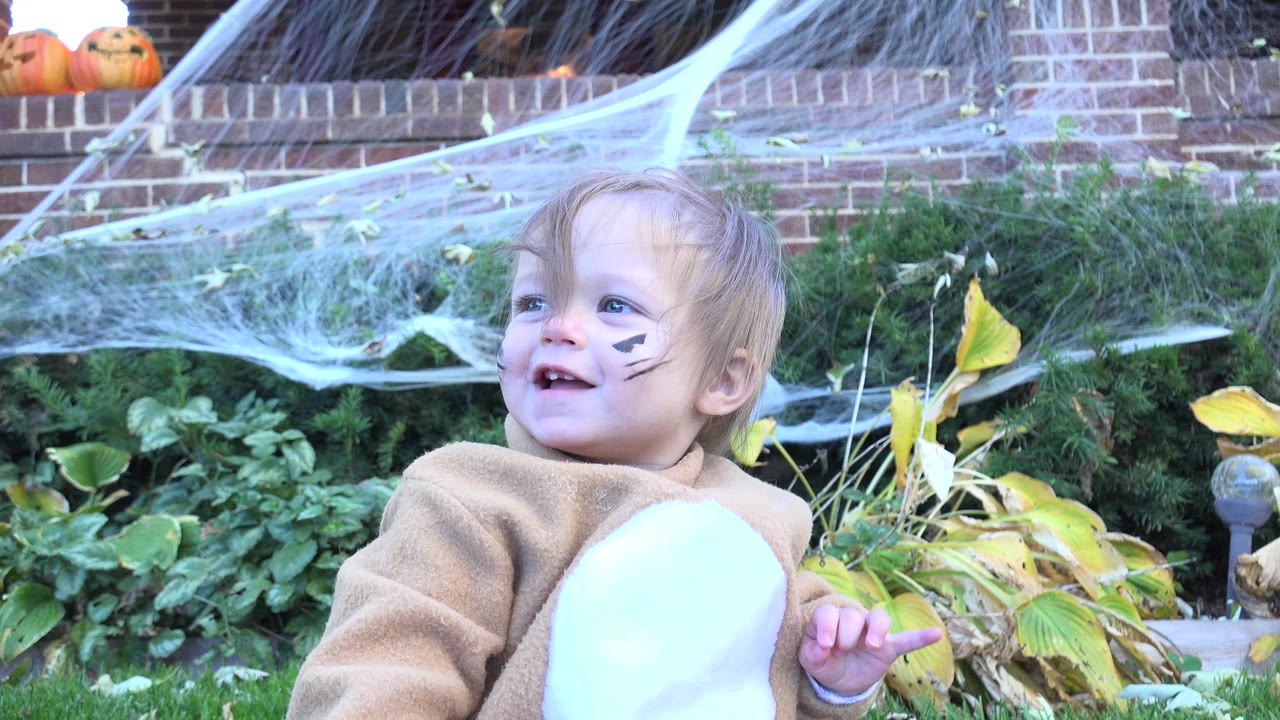 The child remains seated in the Westminster, Colorado yard, facing slightly left with painted whiskers visible and white spiderweb decoration stretched across the brick background.