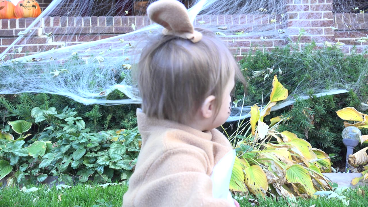The child remains turned to the side in the Westminster yard, with a tan costume hood, pale bunny ears, spider web decorations, plants, and brick steps in view.