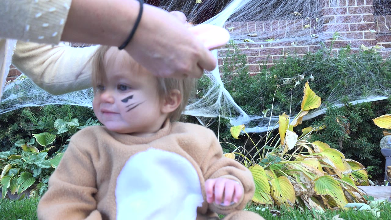 At 0:01, adult hands gather the toddler's hair while the child looks slightly left, with shrubs, yellow leaves, brickwork, and white artificial webbing behind them in Westminster, Colorado.