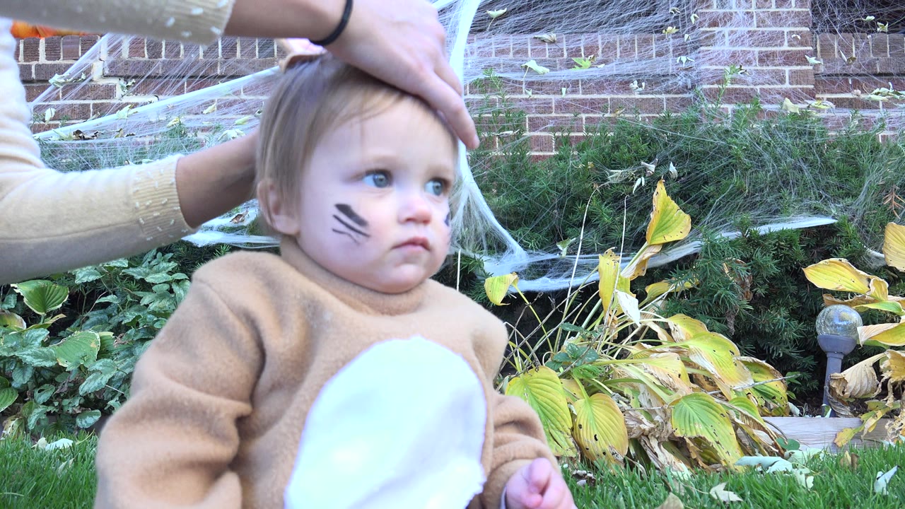 Toddler in tan animal costume sits in a garden as an adult hand adjusts the head.