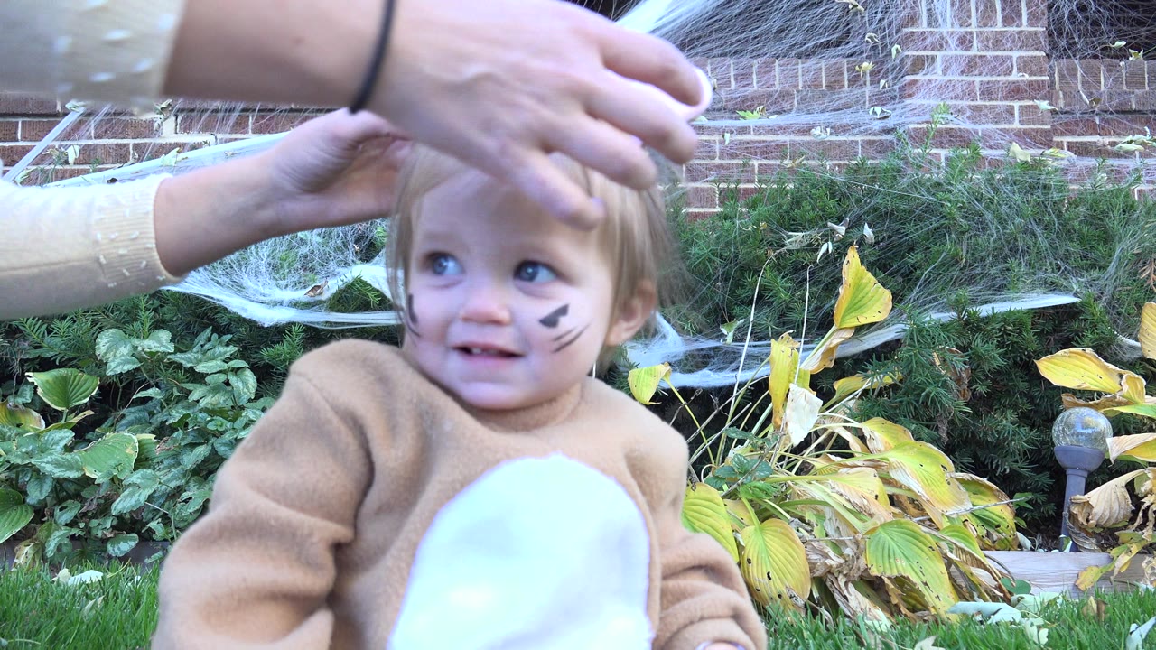 In Westminster, Colorado, a young child in a tan animal costume sits outdoors while adult hands adjust the costume hood near garden plants and brickwork.