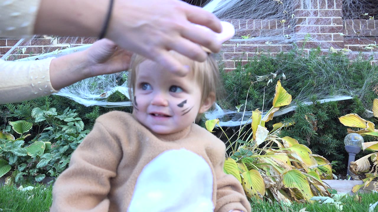 The toddler in Westminster, Colorado looks off to the side while adult hands remain near the costume hood, with cobweb decoration and a planted garden bed behind.