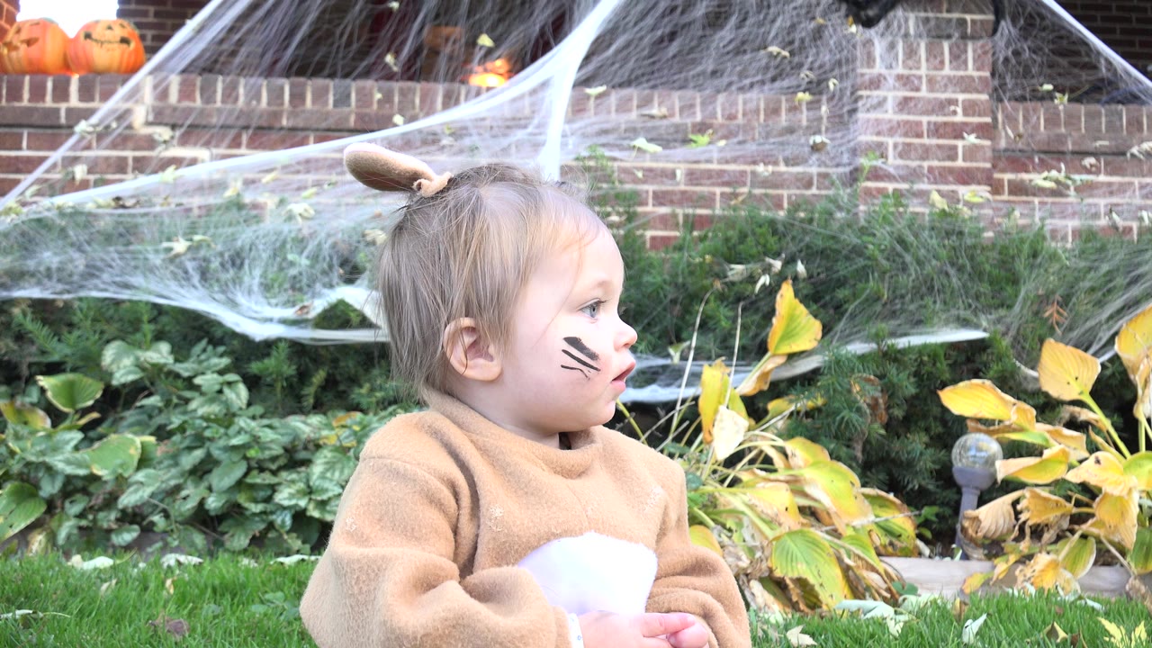 Toddler in a tan animal costume sits on grass near Halloween spiderweb decorations.