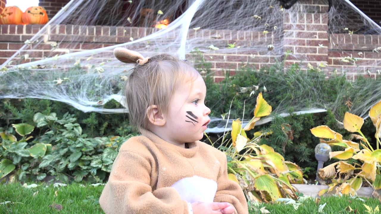 The child remains seated in the Westminster, Colorado yard, turned toward the right with whisker-like face paint visible against spiderwebs, plants, and brick steps.
