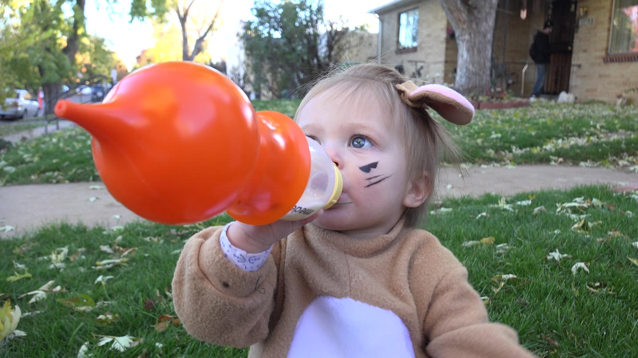 At 0:00 in Westminster, Colorado, a toddler in a tan animal costume holds a baby bottle with a large orange prop close to their face while sitting on a leafy lawn.