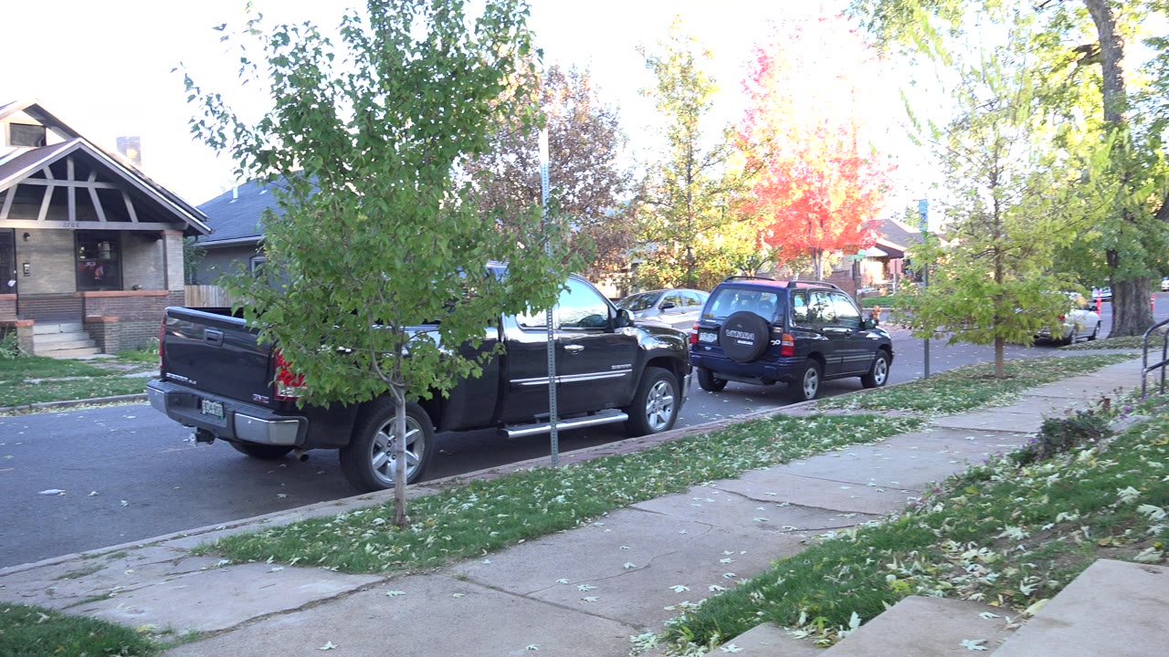 The Westminster, Colorado yard view continues with parked vehicles along the curb, a sidewalk crossing the lawn, bright sun on autumn trees, and no visible people.