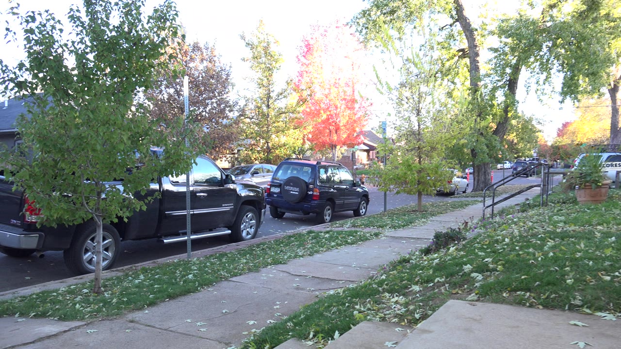 Front yard and sidewalk looking toward parked cars and a red-orange tree.