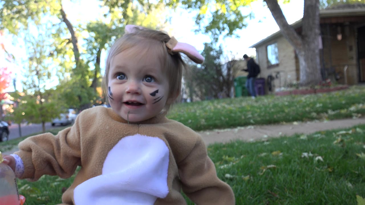 Toddler in a brown rabbit costume looking upward on a lawn.