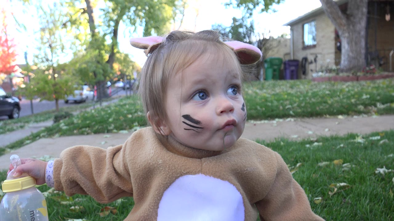 A baby in a tan rabbit costume with pink ears and face paint sits on a grassy lawn in Westminster, Colorado, holding a yellow-capped bottle while looking upward.