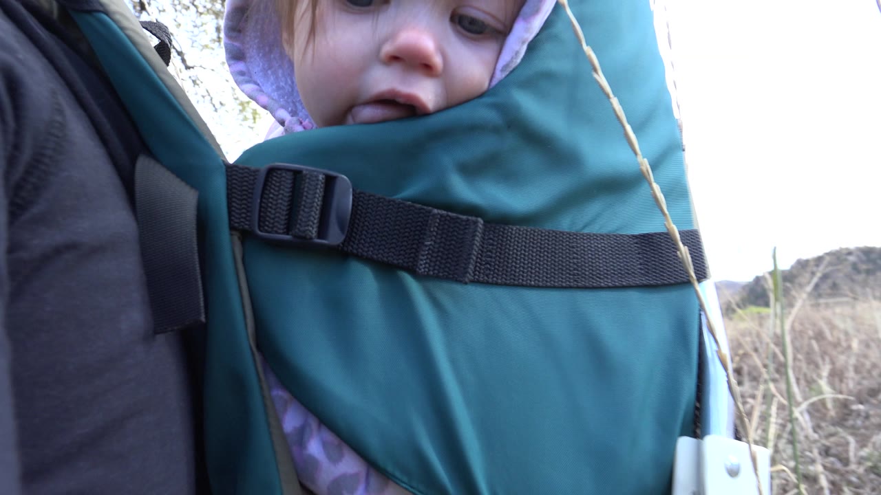 Close view of a baby in a teal backpack carrier.