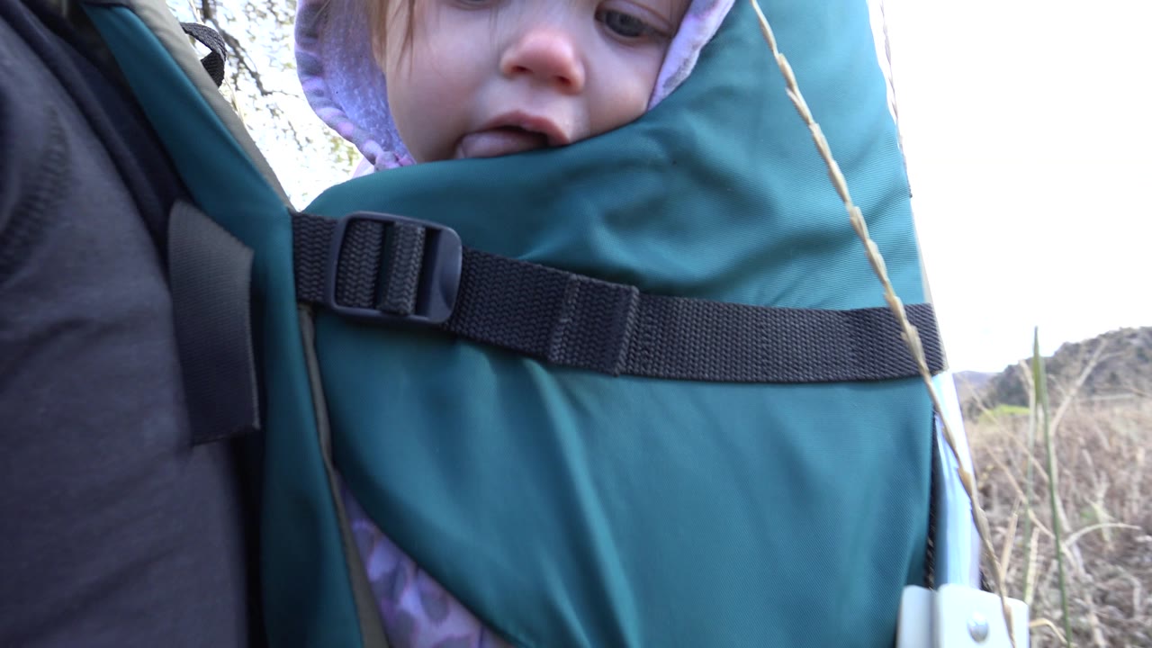 At 0:01 in Golden, Colorado, the baby remains low behind the teal carrier as a black buckle and strap run across the foreground.