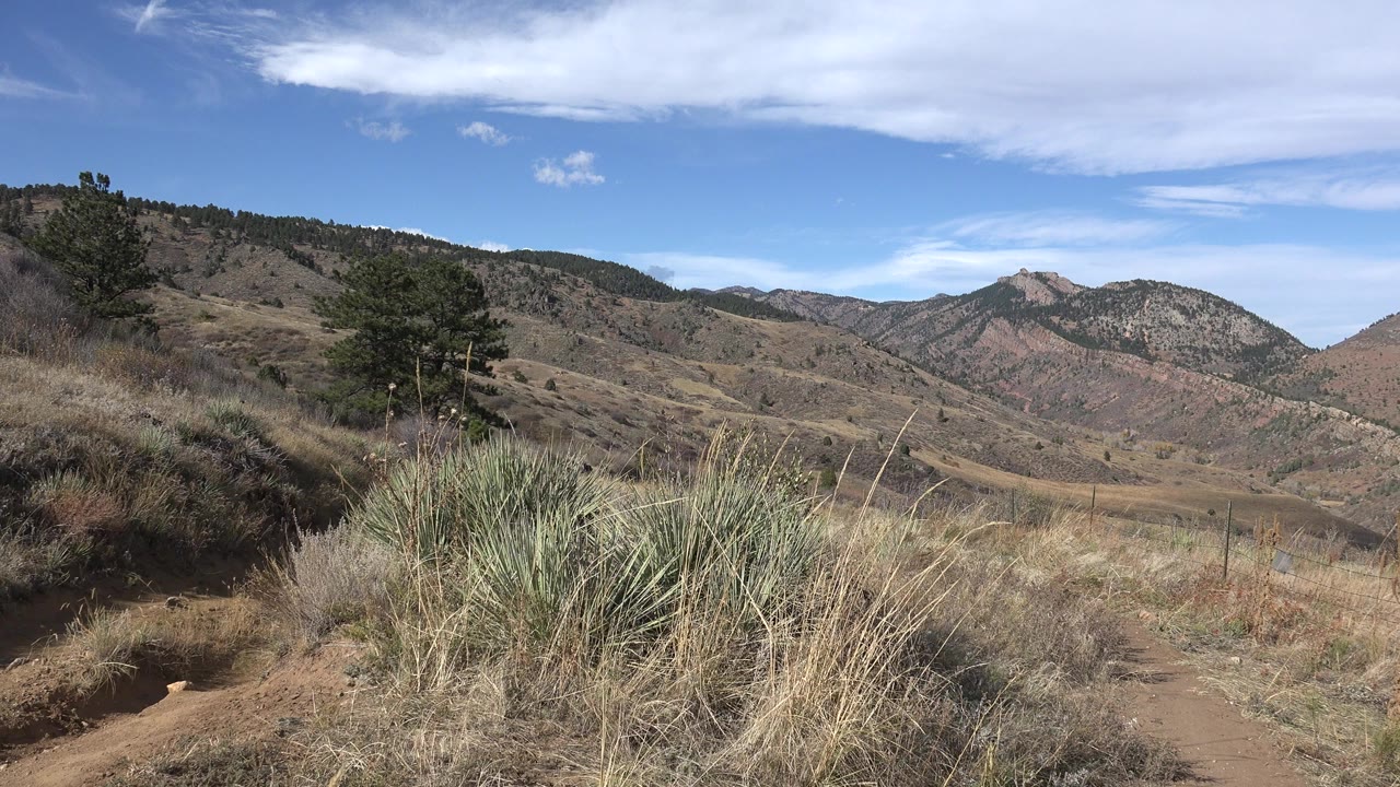 Golden, Colorado hillside view with dry foreground grasses, a small evergreen at left, layered mountain ridges, broad clouds, and no visible people.