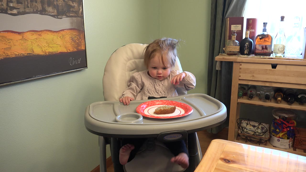 In Westminster, Colorado, a blond toddler sits in a high chair facing the camera, with toast on a red plate and bottles on a shelf near a bright window behind her.