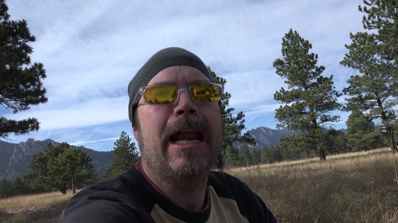 Bearded man in yellow sunglasses near pine trees and mountains.