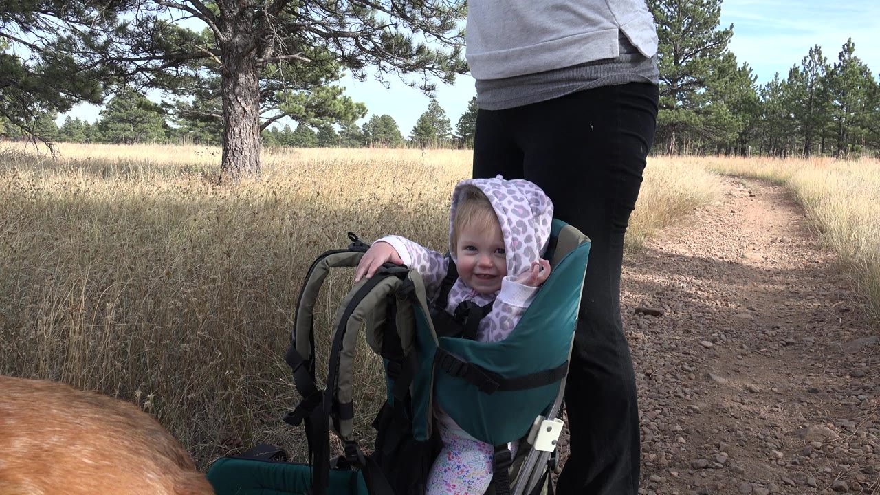 Baby in a teal hiking carrier beside an adult on a wooded dirt trail.