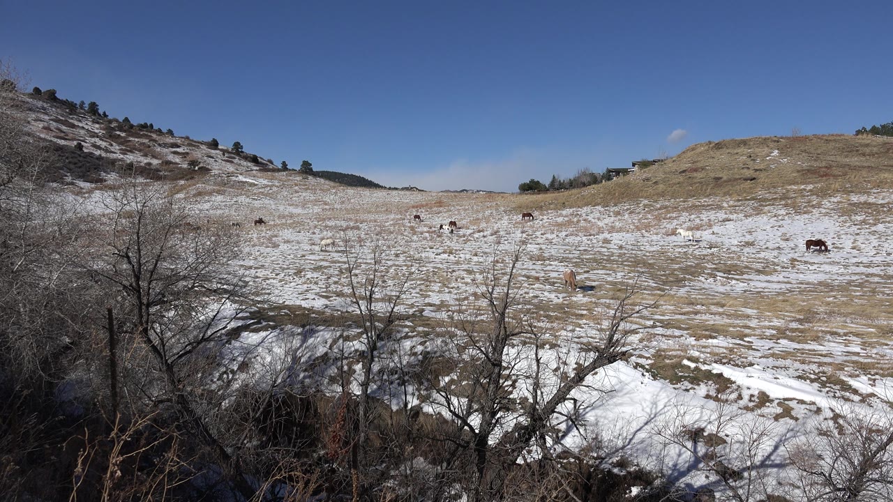 Open snow-streaked grassland under blue sky