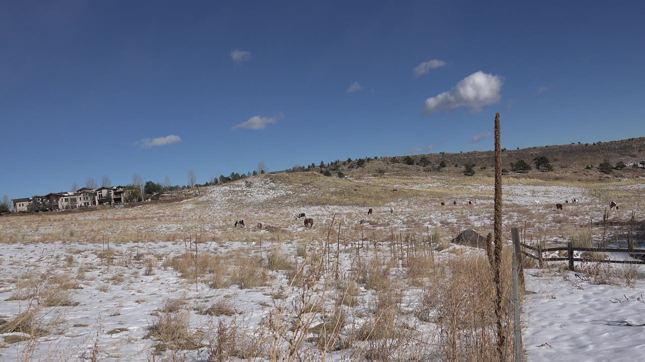 Wide snowy grass field with houses, hillside, fence post, and blue sky.