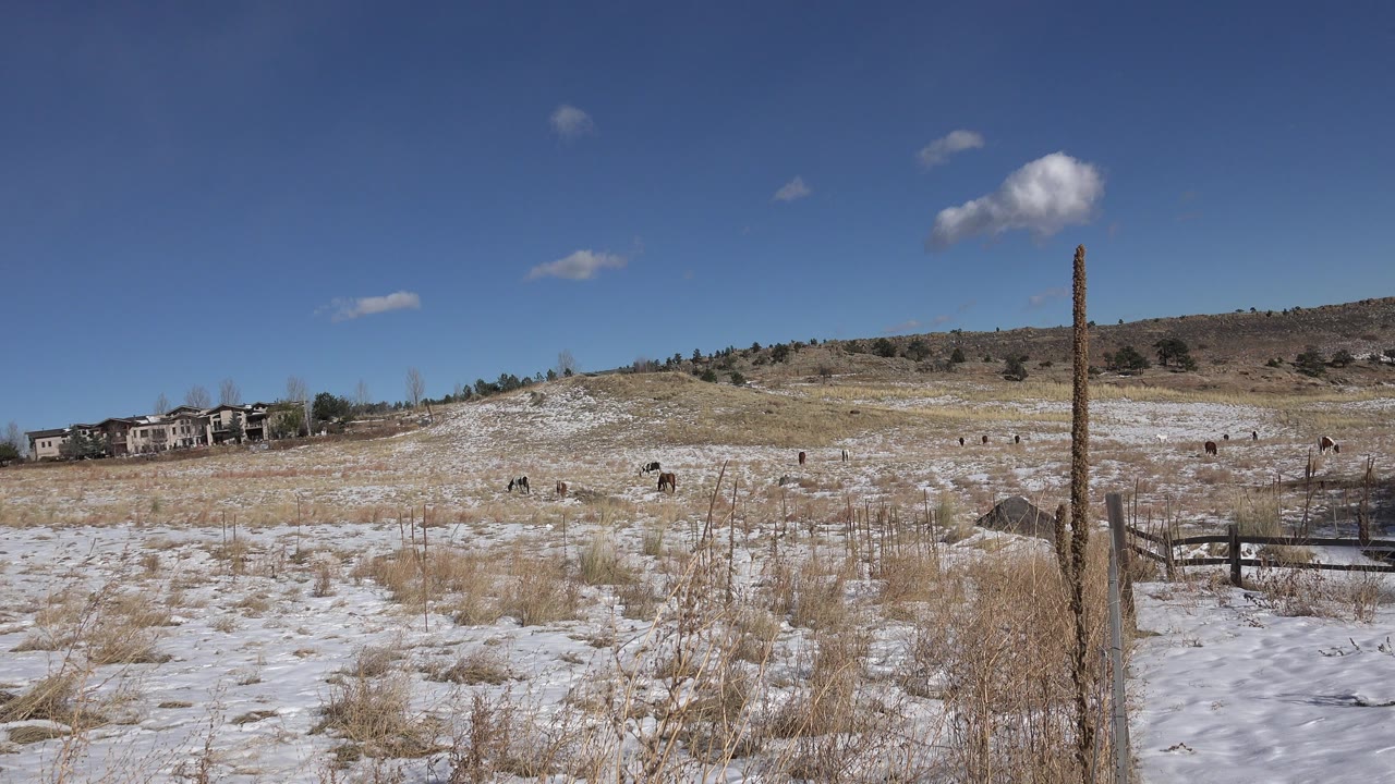 Opening frame of a Golden, Colorado field with tan grass, patchy snow, distant homes at left, low hills in back, a fence post at right, and no visible people.
