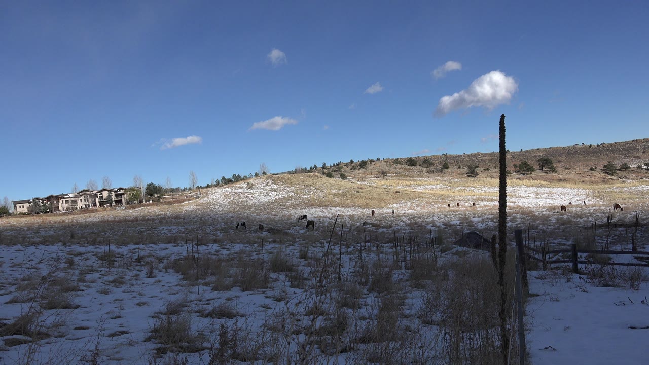 Snowy field with distant homes, low hills, blue sky, and a tall dark post.