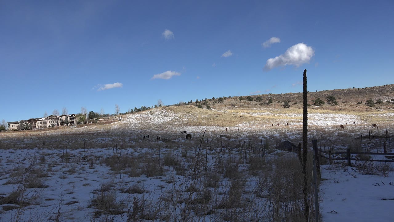 Early frame of the Golden, Colorado field where a broad cloud shadow darkens the snow and grass, with hillside homes at left and no visible people.