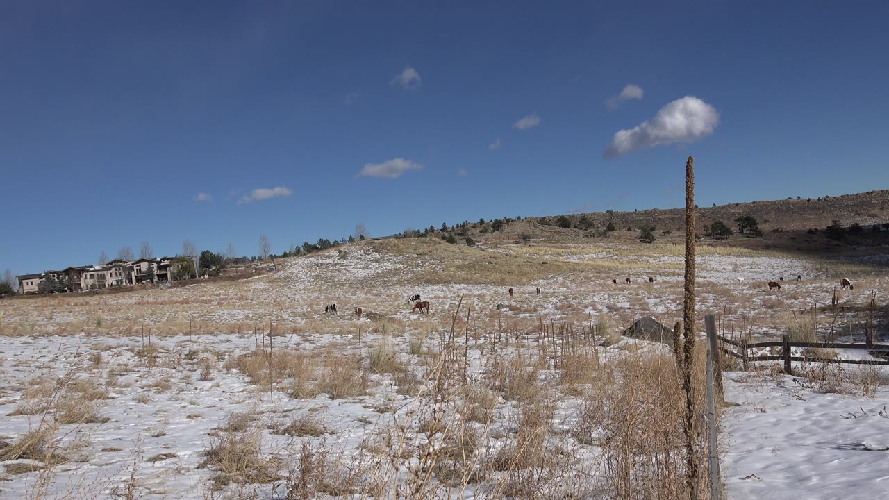 Golden, Colorado hillside view one second in, with the fence post near the right edge, distant homes at left, grazing animals across the midground, and no visible people.