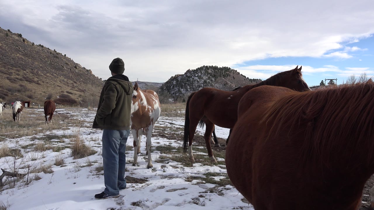 Man standing on snowy ground near horses in a valley.